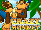 Crazy_Monkey_137x103