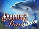Dolphins_pearl_deluxe_137x103